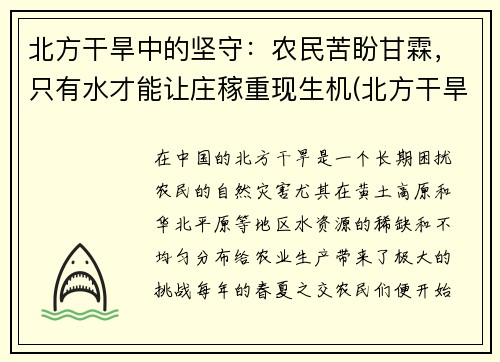 北方干旱中的坚守：农民苦盼甘霖，只有水才能让庄稼重现生机(北方干旱地区)